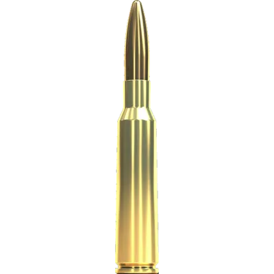Sellier & Bellot 6,5x55 FMJ 124grs/8g