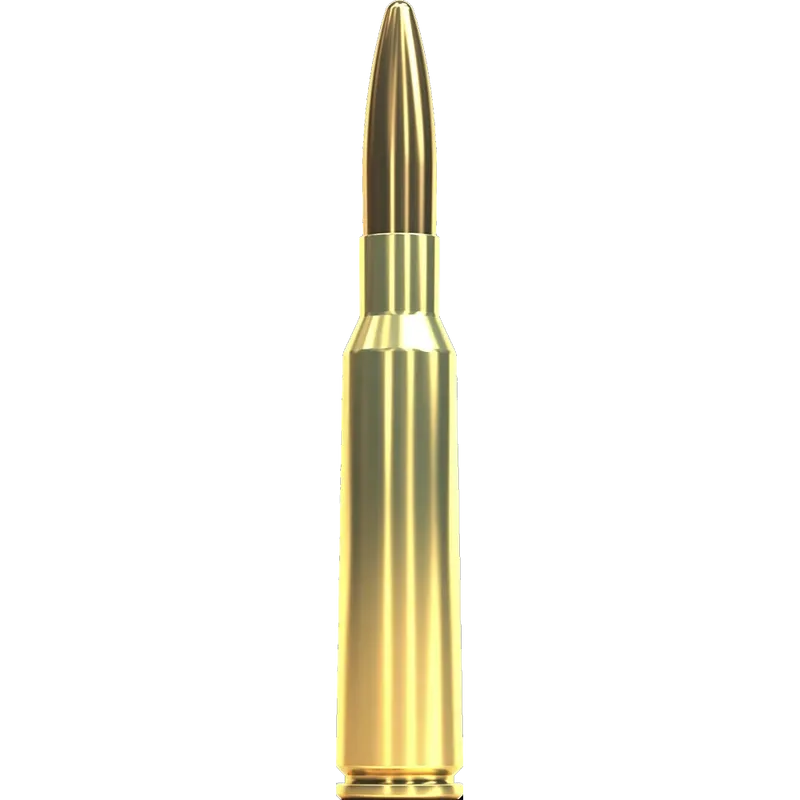 Sellier & Bellot 6,5x55 FMJ 124grs/8g