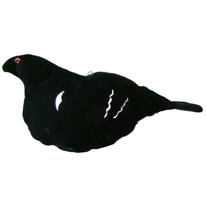 Houkutuskuva Teeri