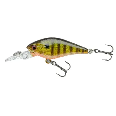 Daiwa Prorex Baby Crank 40MR Gold Perch