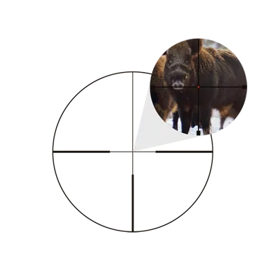 GPO Spectra 8x 1-8x24i