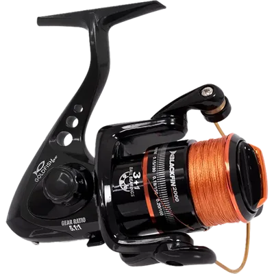 Goldfish Blackfin 2000 -kela siimalla