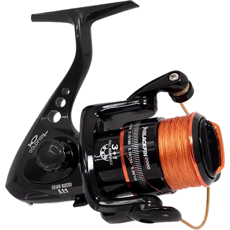 Goldfish Blackfin 2000 -kela siimalla
