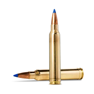 Norma Bondstrike .300 Win Mag 11,7g