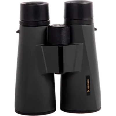 Scandium Gold 8x56