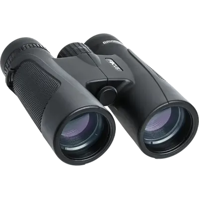 Focus Bright 8x42