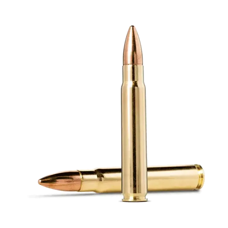 Norma Jaktmatch 9,3x62 15,0G