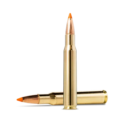 Norma Tipsstrike 30-06 11,0g
