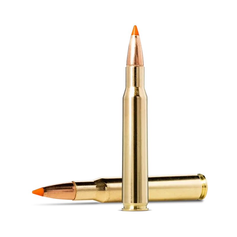 Norma Tipsstrike 30-06 11,0g