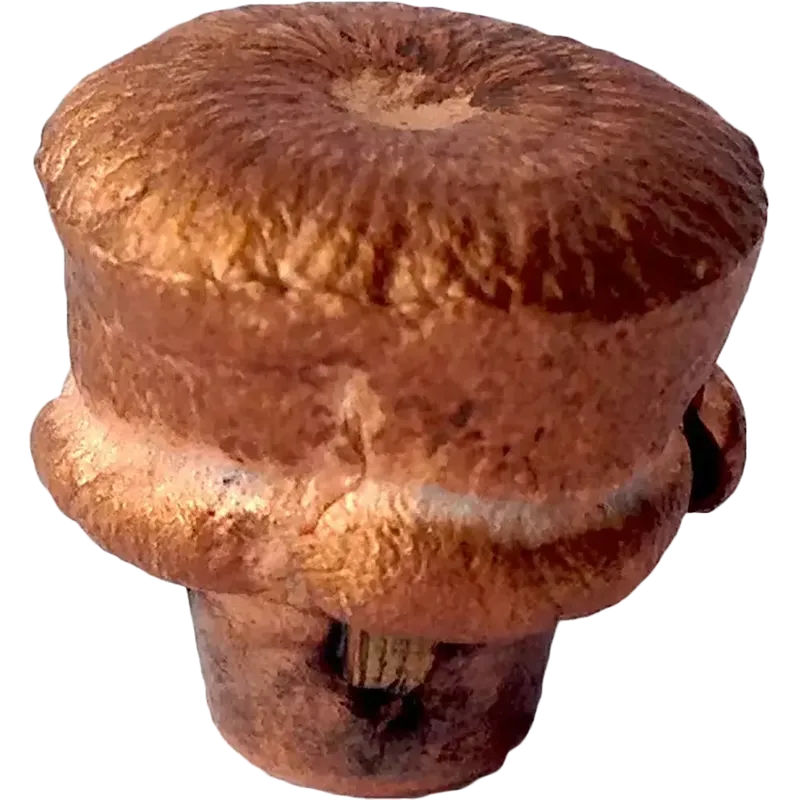 Lapua 8x57IS Naturalis N559 11,6g