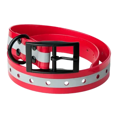 Lafayette Hundhalsband Röd med reflex