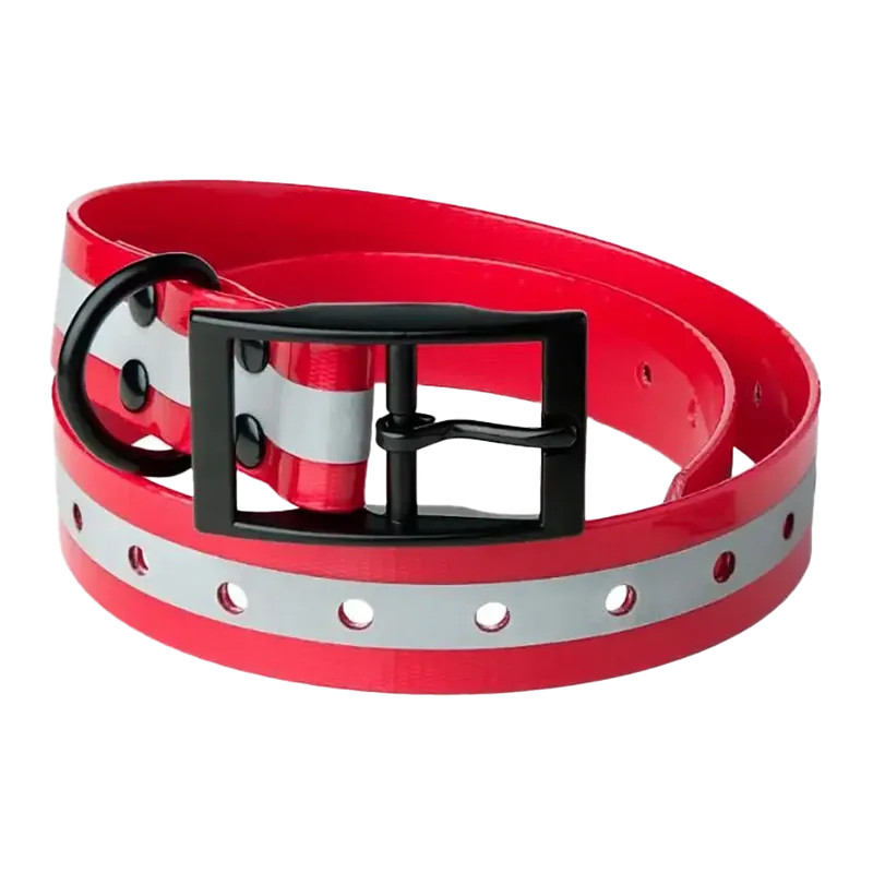 Lafayette Hundhalsband Röd med reflex