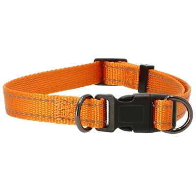 Justerbart halsband Iris 20mm Orange