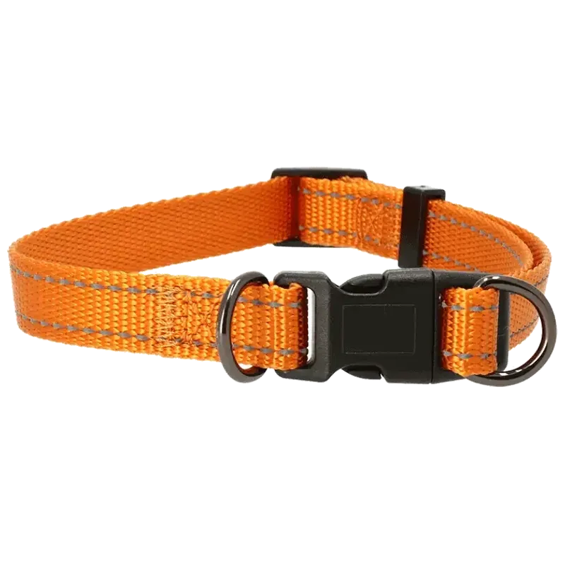 Justerbart halsband Iris 20mm Orange