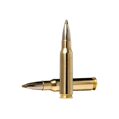 Norma Evostrike .308Win 9,0g