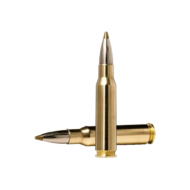 Norma Evostrike .308Win 9,0g