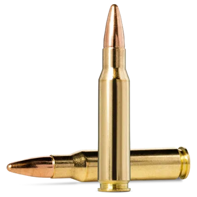 Norma Jaktmatch .308W 9,7G