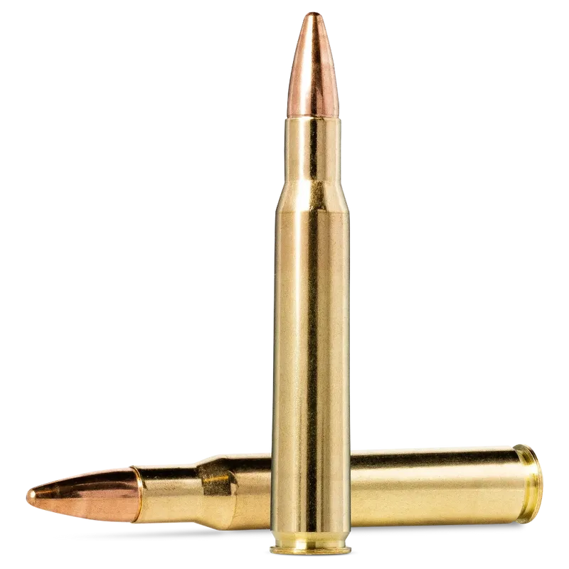 Norma Jaktmatch 30-06 9,7G