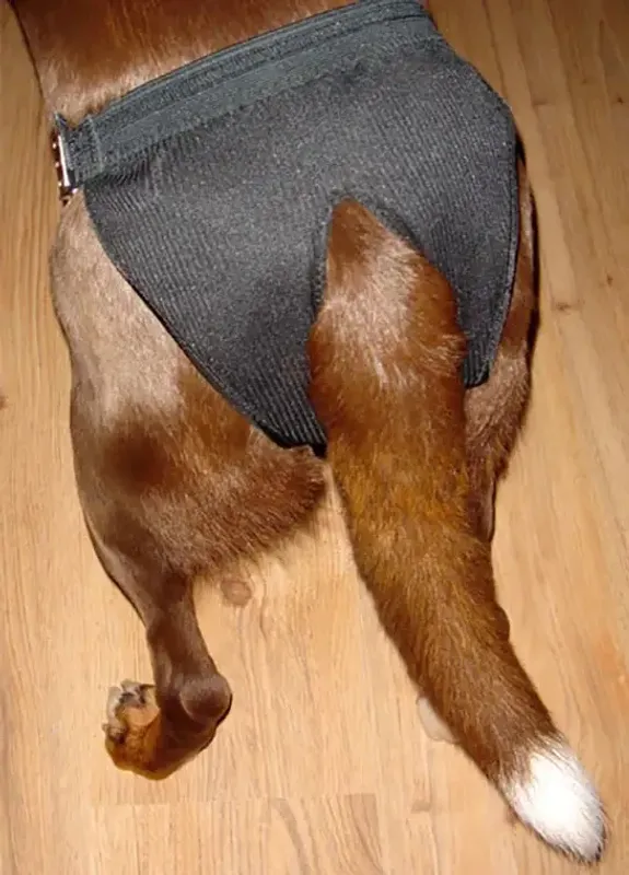 Dogman Justerbart Tikskydd