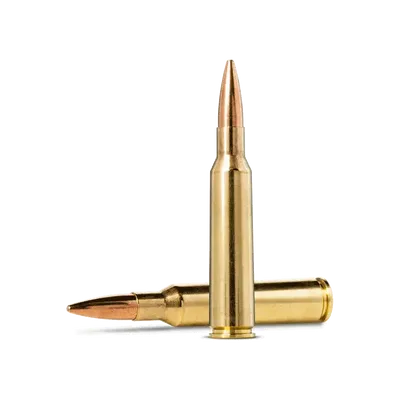 Norma Jaktmatch 6.5x55 8,0G