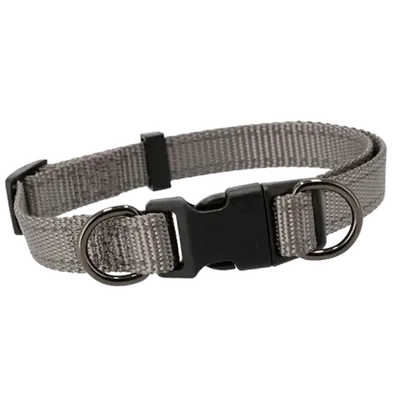 Valphalsband Iris 15mm Justerbart Grå