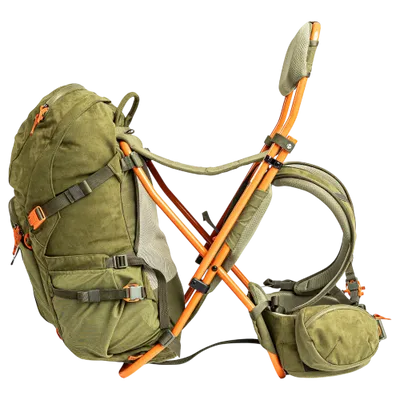 Fauna Grizzly C35