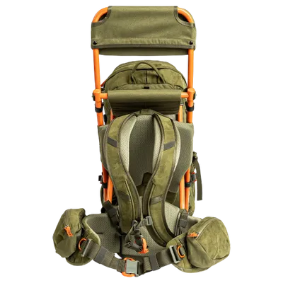 Fauna Grizzly C35