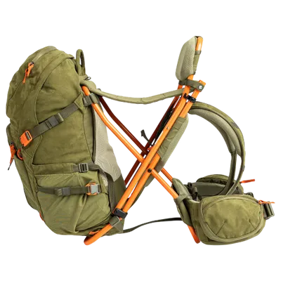 Fauna Grizzly C35