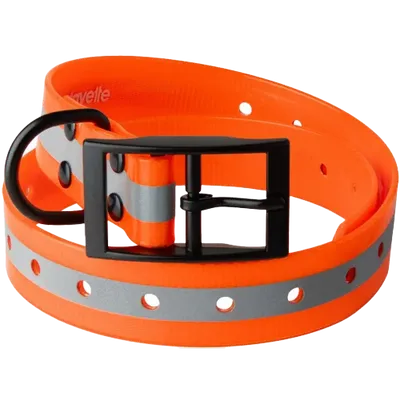Lafayette Hundhalsband Orange med reflex
