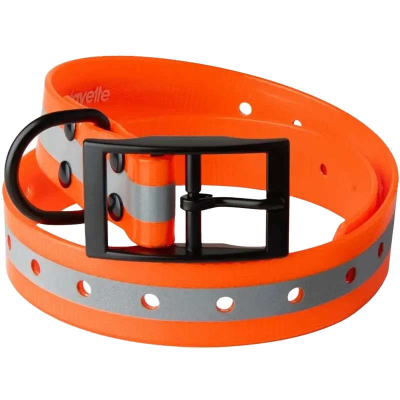 Lafayette Hundhalsband Orange med reflex