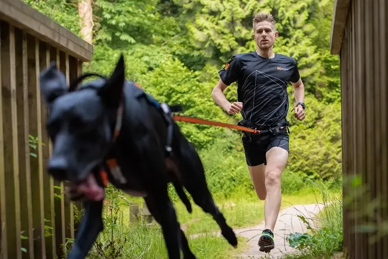 Non-stop Bungee Leash Black/Orange 2.8m