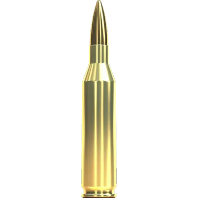 Sellier Bellot 243 Win FMJ 80gr