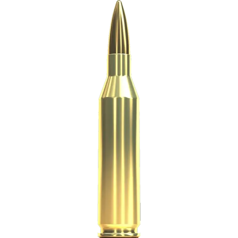 Sellier Bellot 243 Win FMJ 80gr