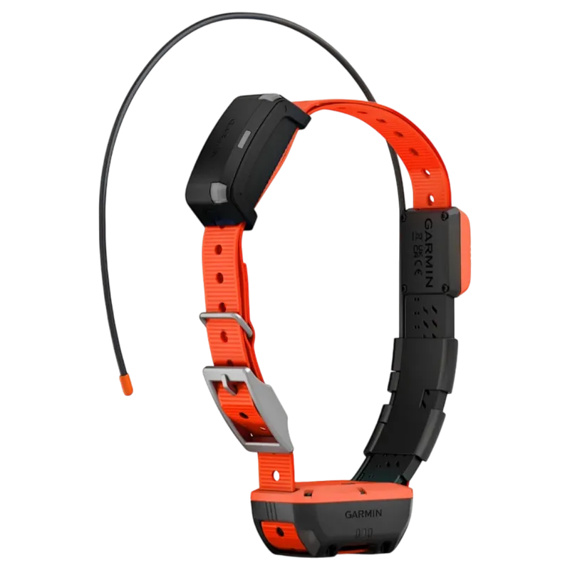 Garmin Alpha T20 Bundle inklusive Alpha LTE
