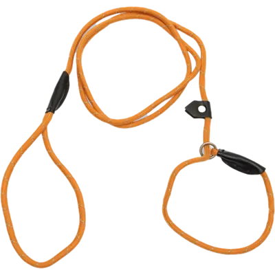 Barq Retrieverkoppel Orange 180 cm