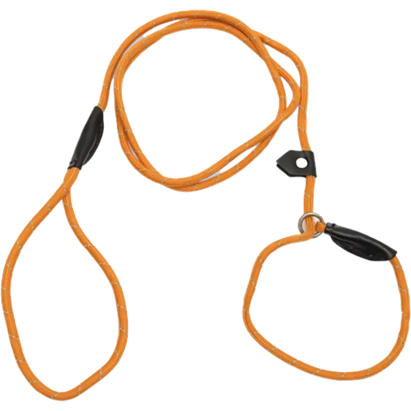 Barq Retrieverkoppel Orange 180 cm