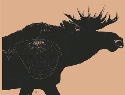 Måltavla ÄLG löpande 80m Höger 155x117cm