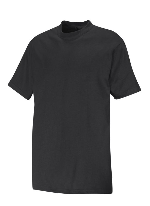 Graphix Boston T-Shirt bomull 161400