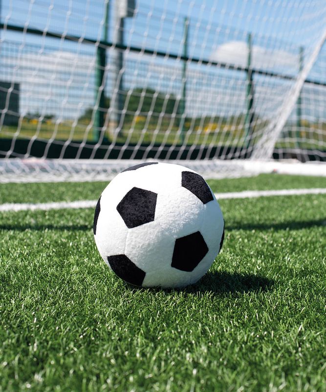 Zippie-fotbollen MM583