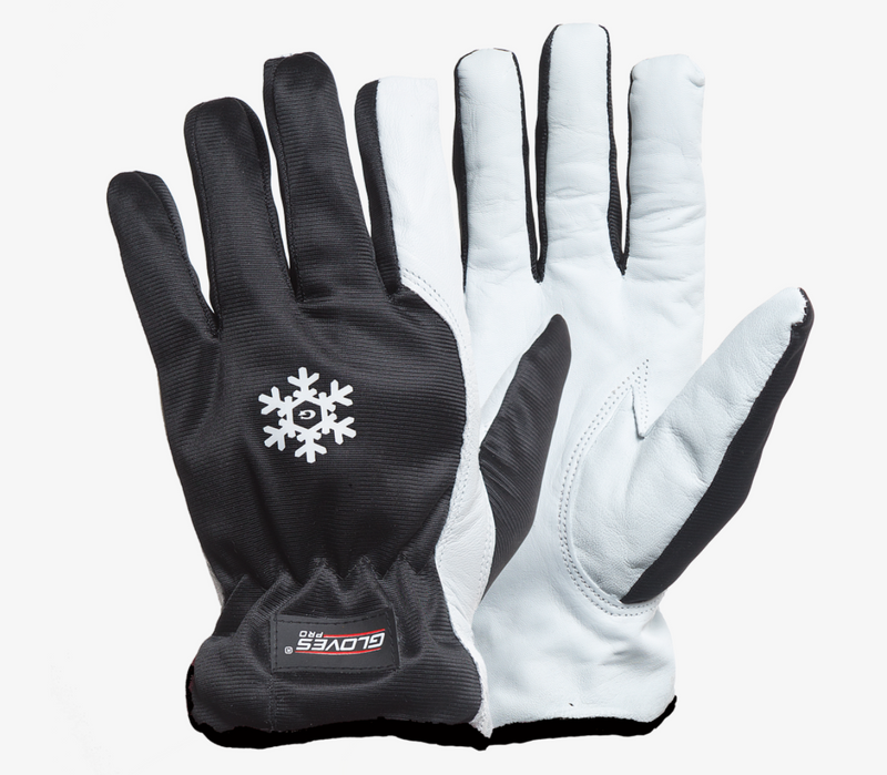 Gloves Pro vinterhandske DEX 11 getskinn