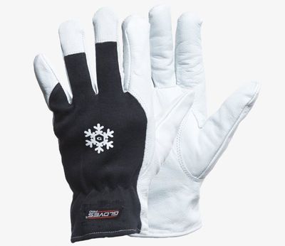 Gloves Pro Getskinnhandske DEX 12 vinter 5659