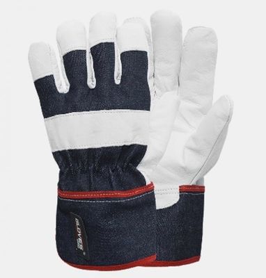 Gloves Economy COLD Allround vinterhandske getskinn 5741