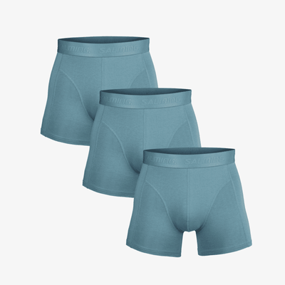 Bamboo boxerkalsong 3-pack 5025003