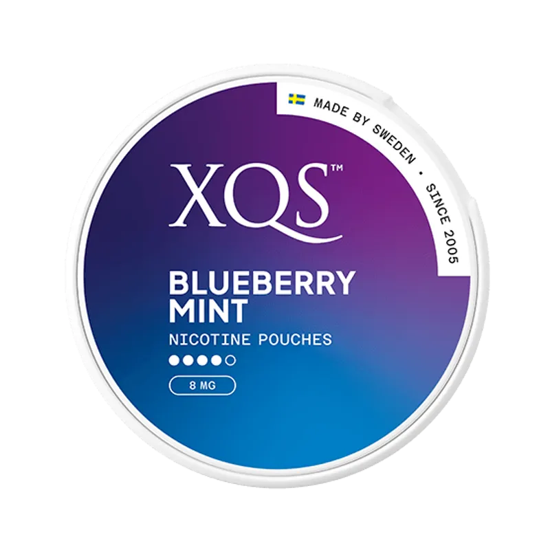 XQS - Blueberry Mint 8mg