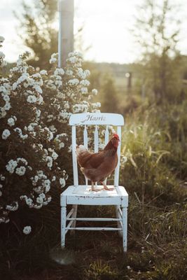 Offwhite långärmad baströja i bomullsmodal