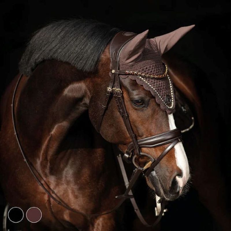 HS Dressyrträns Jumeira