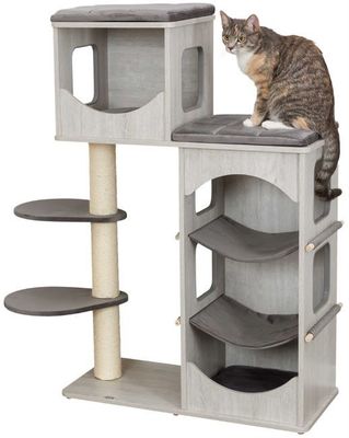 3KAf5kjT1QpbUYC1764326735