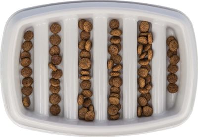 3eWVEfXIOHTizlW1764326100