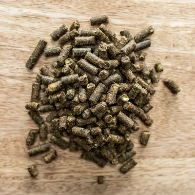 3iBWwyQjcgjqURw1764326550