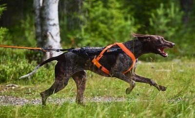 3qmSMlm9EqwsWud1764325997